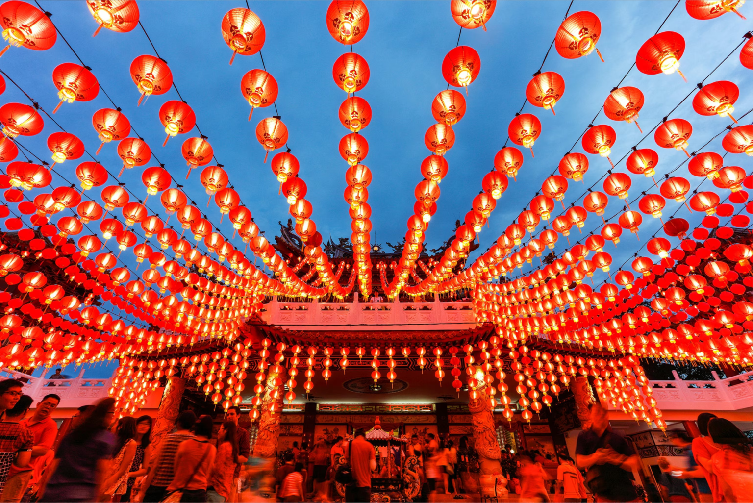 chinese new year tea gifts